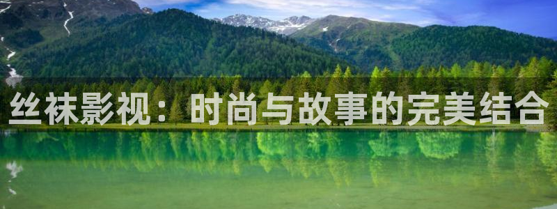 人人干全网视频