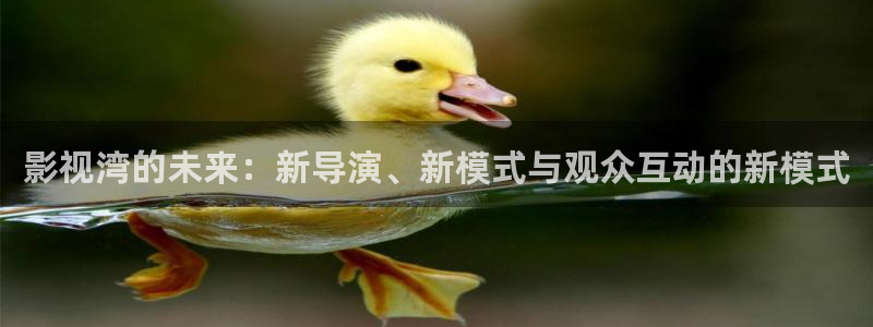 人人精品视频在线观看：影视湾的未来：新导演、新模式与观众互动的新模式
