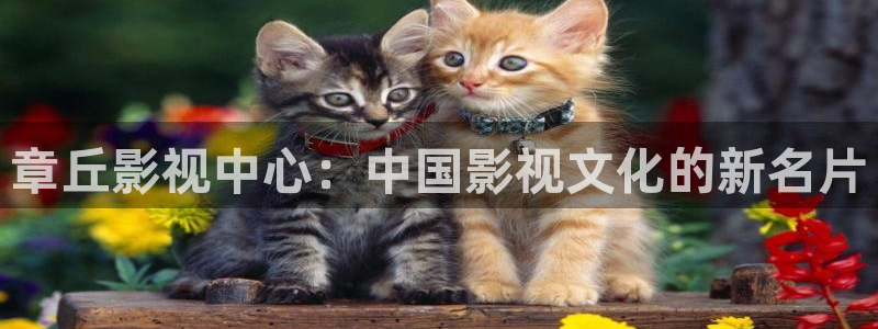 超碰人人干在线：章丘影视中心：中国影视文化的新名片