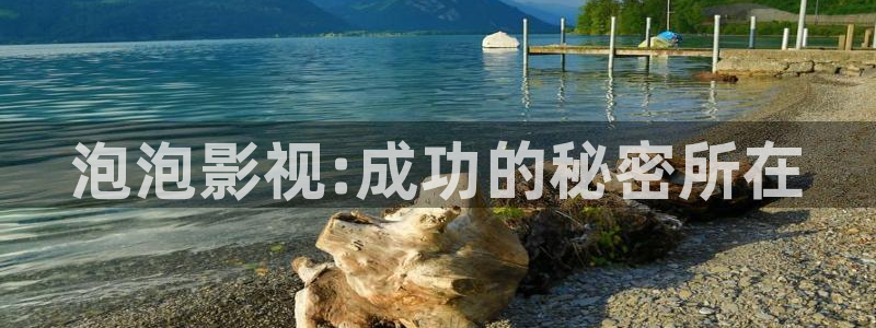 久久人人97超碰青草学生：泡泡影视:成功的秘密所在