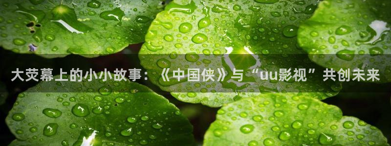 超碰97人人做人人爱少妇：大荧幕上的小小故事：《中国侠》与“uu影视”共创未来