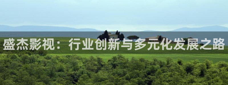人人插人人播视频：盛杰影视：行业创新与多元化发展之路