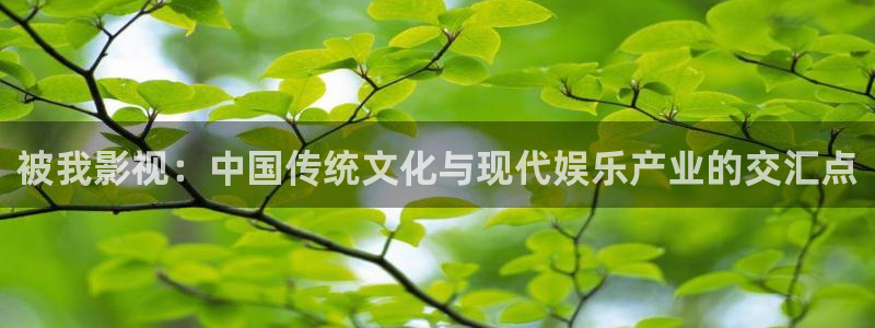 97国产精品视频人人做人人爱：被我影视：中国传统文化与现代娱乐产业的交汇点